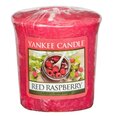 Yankee Candle Red Raspberry lõhnaküünal 49 g