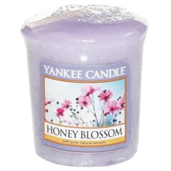 Lõhnaküünal Yankee Candle Honey Blossom, 49g hind ja info | Küünlad, küünlajalad | kaup24.ee