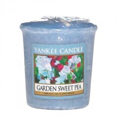 Lõhnaküünal Yankee Candle Garden Sweet Pea, 49g hind ja info | Küünlad, küünlajalad | kaup24.ee