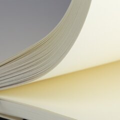 Записная книжка Milan Paperbook, красная, 208 листов цена и информация | Тетради и бумажные товары | kaup24.ee