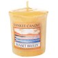 Lõhnaküünal Yankee Candle Sunset Breeze, 49g цена и информация | Küünlad, küünlajalad | kaup24.ee