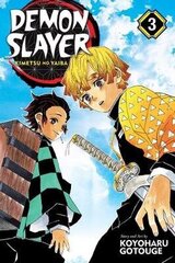 Demon Slayer: Kimetsu No Yaiba, Vol. 3: Believe In Yourself hind ja info | Romaanid | kaup24.ee