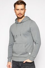 Спортивный свитер JACK & JONES 12182537SEDONASAGE-L цена и информация | Мужские толстовки | kaup24.ee