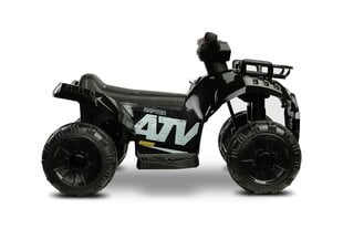 Laste elektriline ATV Toyz Raptor Black цена и информация | Электромобили для детей | kaup24.ee