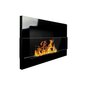 Biokamin seinale-sisseehitatav Bioheat 650x400 Black Less Glass цена и информация | Kaminad | kaup24.ee