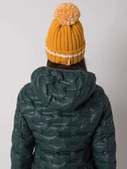 Женская серая шапка, зимняя шапка цена и информация | Женские шапки | kaup24.ee