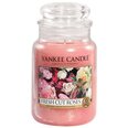 Yankee Candle Large Jar küünal Fresh Cut Roses 623 g