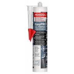 Silikoon EasyPro All Purpose 310ml läbipaistev hind ja info | Isolatsiooni- ja tihendus pakkematerjal | kaup24.ee