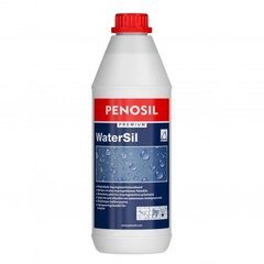 Immutusvahend kivipindadele WaterSil 1L Premium цена и информация | Краска | kaup24.ee