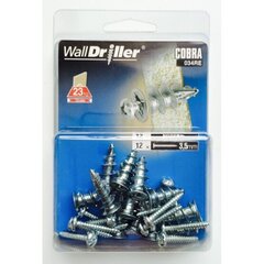 Kipsplaadi tüübel WALLDRILLER + kruvi 3,5x25 mm (12/tk pakk), metall 23 kg цена и информация | Инструменты крепления | kaup24.ee