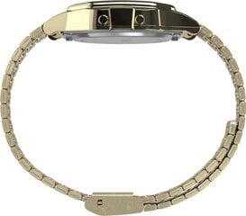 Timex T80 34 mm roostevabast terasest rihmaga käekell цена и информация | Мужские часы | kaup24.ee