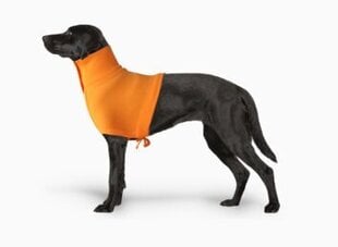 Grande Finale бандаж на шею и плечи XS 26-40см цена и информация | Одежда для собак | kaup24.ee