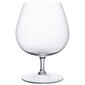 Villeroy & Boch brändiklaasid, 470 ml, 4 tk. hind ja info | Klaasid, tassid ja kannud | kaup24.ee