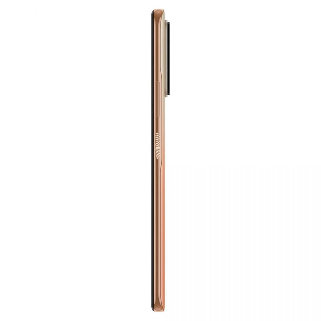 Xiaomi Redmi Note 10 Pro 6/128GB MZB08L0EU Gradient Bronze цена и информация | Telefonid | kaup24.ee