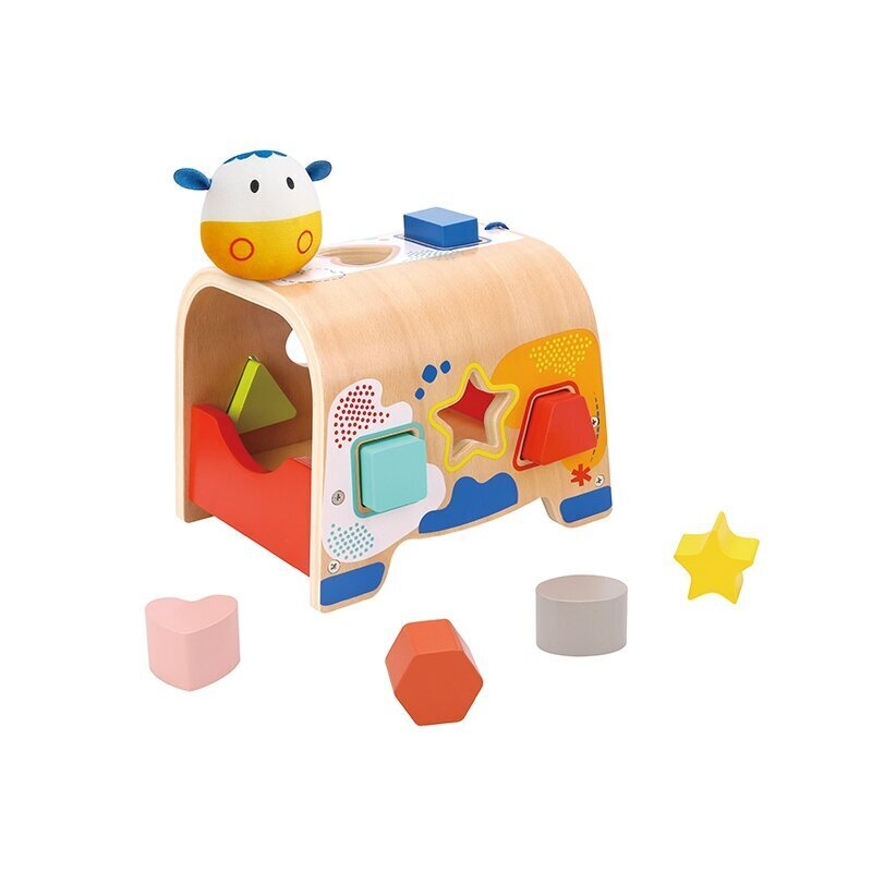 Puidust värvikas sorteerija, Tooky Toy hind ja info | Imikute mänguasjad | kaup24.ee