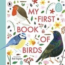 My First Book of Birds hind ja info | Entsüklopeediad, teatmeteosed | kaup24.ee