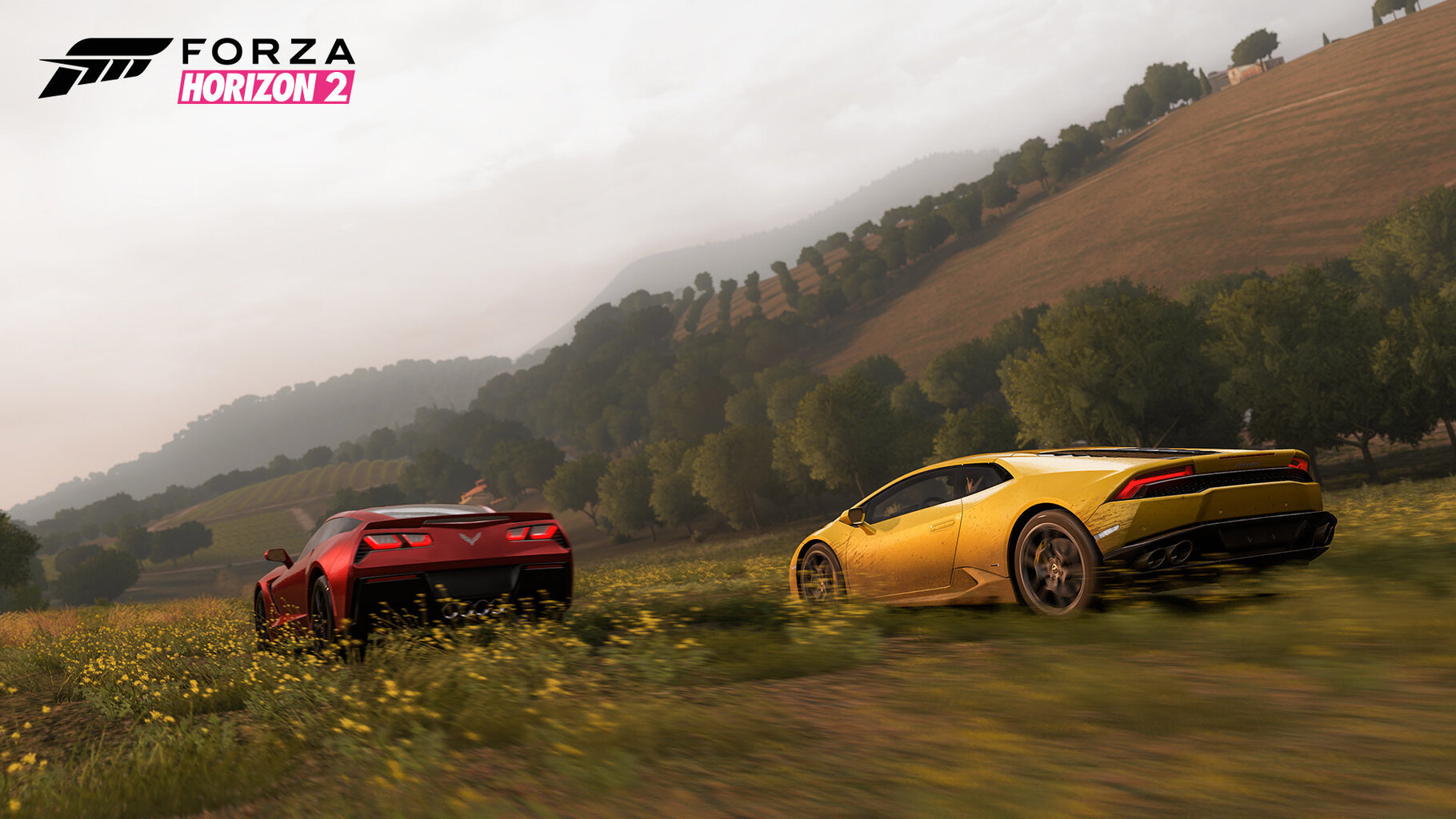 Mäng Forza Horizon 2, Xbox One hind ja info | Arvutimängud, konsoolimängud | kaup24.ee