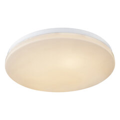 Потолочный светильник Globo Lighting JANA I 41625-18 цена и информация | Потолочные светильники | kaup24.ee