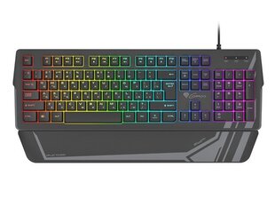 Клавиатура Genesis Rhod 350 RGB Gaming keyboard, RG цена и информация | Клавиатуры | kaup24.ee
