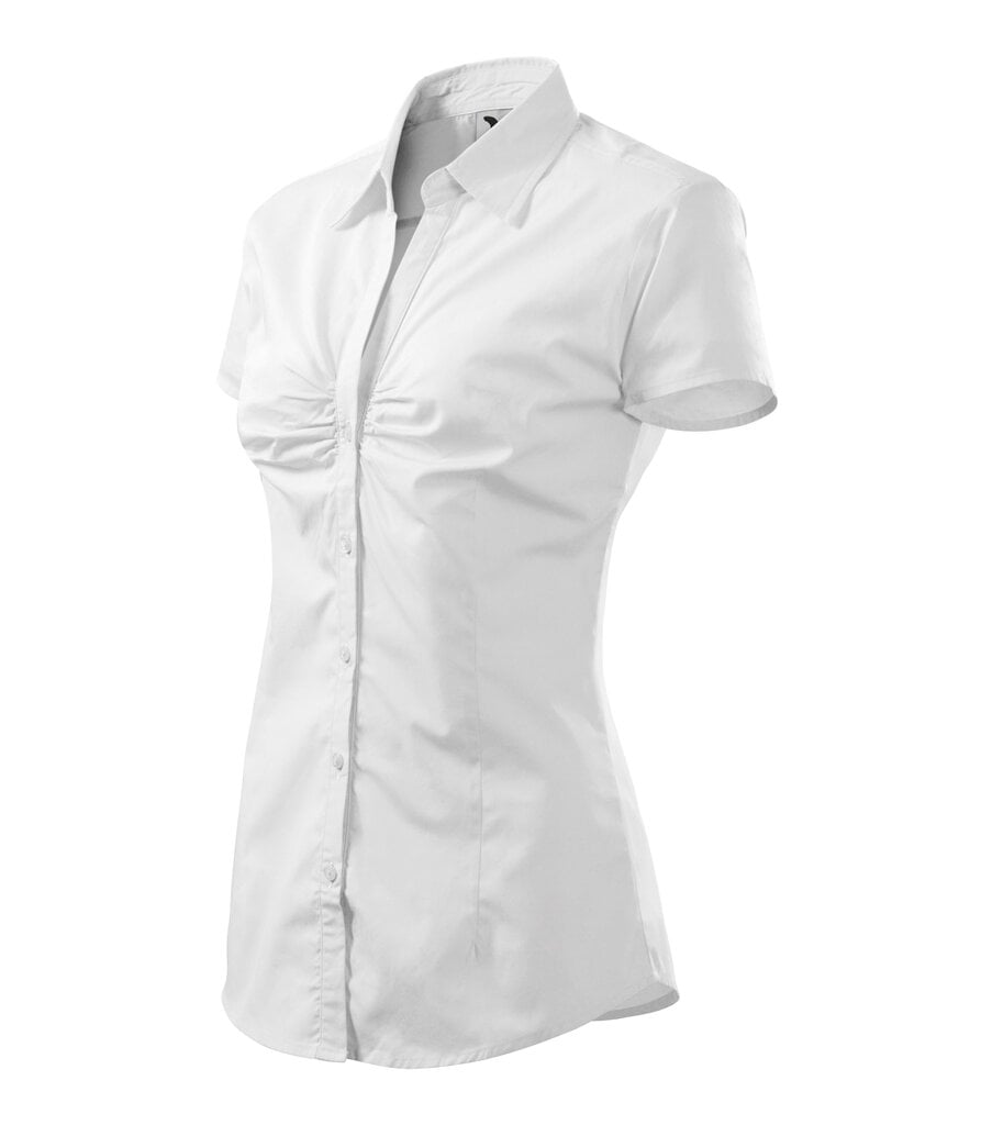 Chic Shirt naistele цена и информация | Naiste pluusid, särgid | kaup24.ee