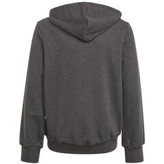 Tüdrukute džemper Adidas Bos Hoodie Jr GM6957, hall цена и информация | Свитеры, жилетки, пиджаки для девочек | kaup24.ee