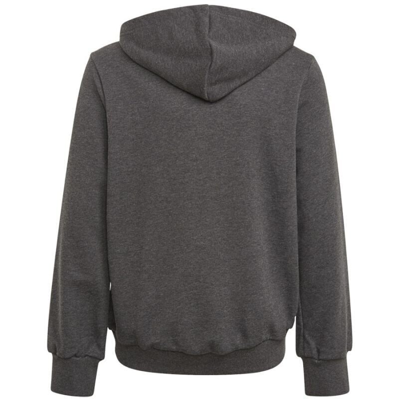 Tüdrukute džemper Adidas Bos Hoodie Jr GM6957, hall цена и информация | Tüdrukute kampsunid, vestid ja jakid | kaup24.ee