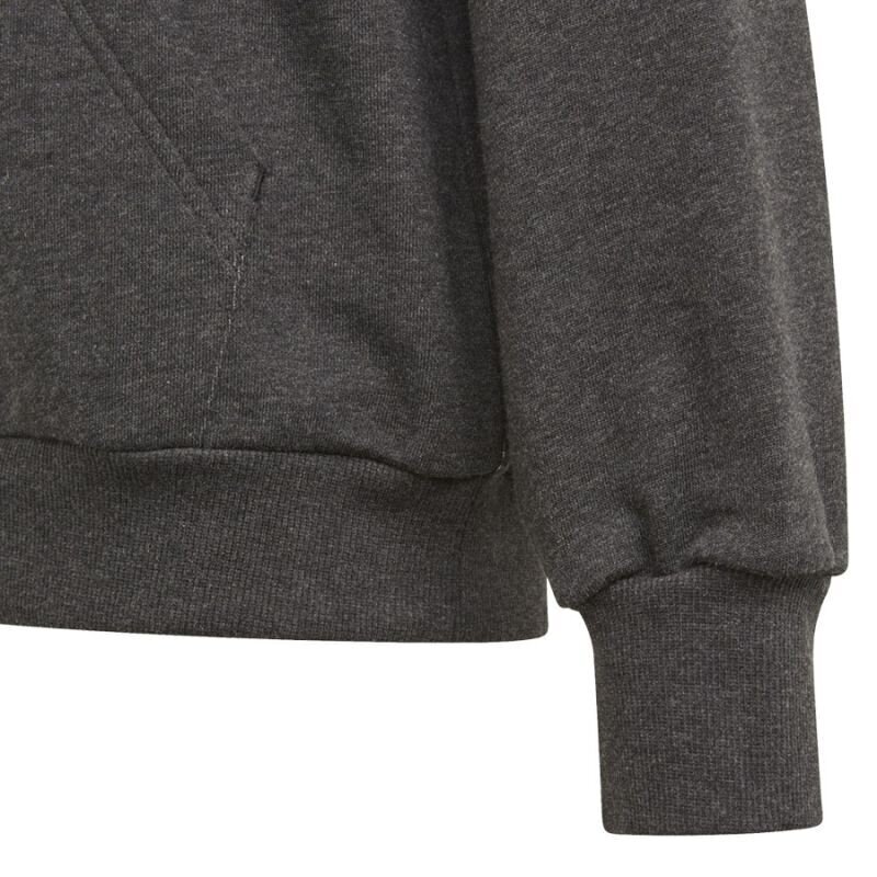 Tüdrukute džemper Adidas Bos Hoodie Jr GM6957, hall hind ja info | Tüdrukute kampsunid, vestid ja jakid | kaup24.ee