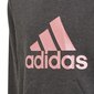 Tüdrukute džemper Adidas Bos Hoodie Jr GM6957, hall цена и информация | Tüdrukute kampsunid, vestid ja jakid | kaup24.ee