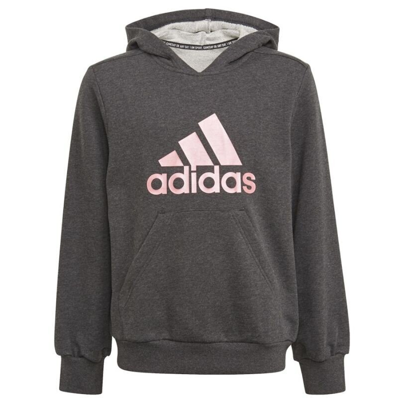 Tüdrukute džemper Adidas Bos Hoodie Jr GM6957, hall цена и информация | Tüdrukute kampsunid, vestid ja jakid | kaup24.ee