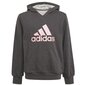 Tüdrukute džemper Adidas Bos Hoodie Jr GM6957, hall hind ja info | Tüdrukute kampsunid, vestid ja jakid | kaup24.ee