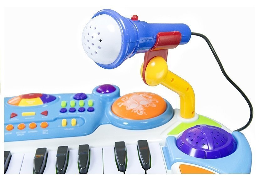 Laste orel + tool + sinine mikrofon цена и информация | Arendavad mänguasjad | kaup24.ee