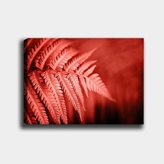 Репродукция на холсте Красный папоротник цена и информация | Картины, живопись | kaup24.ee