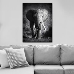 Репродукция на холсте Слон цена и информация | Настенные деревянные декорации | kaup24.ee