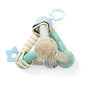 BabyOno mänguasi Tiny joga, püramiid, 898/02 цена и информация | Imikute mänguasjad | kaup24.ee