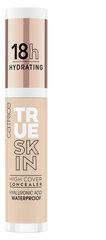 Peitekreem Catrice True Skin, 4,5 ml hind ja info | Jumestuskreemid, puudrid | kaup24.ee