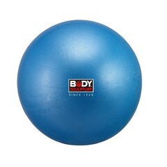 Võimlemispall Mini BB 013, 25 cm, sinine hind ja info | Võimlemispallid | kaup24.ee