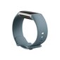 Fitbit Charge 5 Steel Blue/Platinum FB421SRBU hind ja info | Nutivõrud (fitness tracker) | kaup24.ee