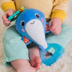 Подвесная игрушка Bright Starts Дельфин, синий, 12505 цена и информация | Игрушки для малышей | kaup24.ee