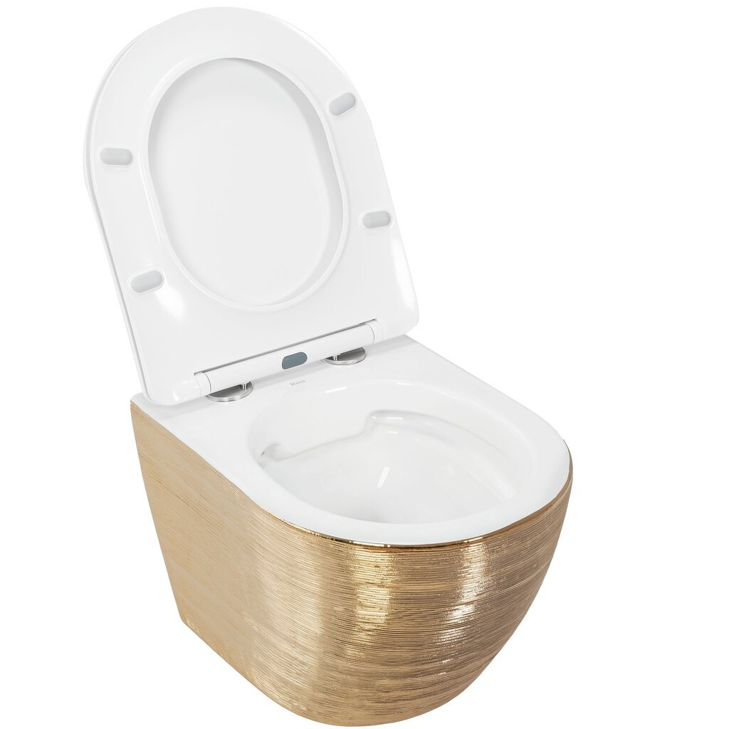 Tualettpott REA Carlo Flat, Brush Gold цена и информация | WС-potid | kaup24.ee