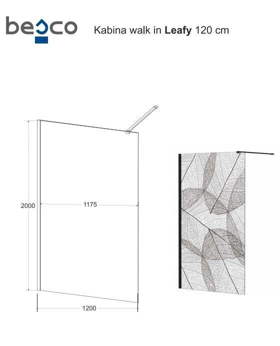 Walk-In dušikabiin Besco Leafy, 100,110,120 x 200 cm hind ja info | Dušikabiinide uksed ja seinad | kaup24.ee