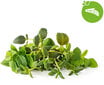 Click & Grow Plant Pod Italian Mix 9tk цена и информация | Nutipotid ja taimelambid | kaup24.ee