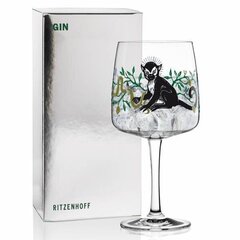 Gini pokaal "Gin von Karin Rytter", 1 tk цена и информация | Стаканы, фужеры, кувшины | kaup24.ee