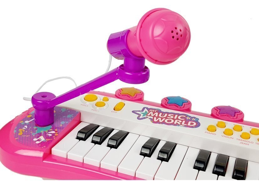 Laste süntesaator koos mikrofoni ja 24 klahviga, roosa цена и информация | Arendavad mänguasjad | kaup24.ee