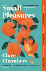 Small Pleasures : Longlisted for the Women's Prize for Fiction 2021 hind ja info | Romaanid | kaup24.ee