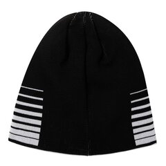Мужская шапка Puma 022357*03, черная 4060981734253 цена и информация | Мужские шарфы, шапки, перчатки | kaup24.ee
