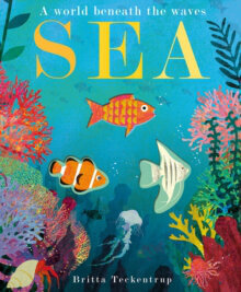 Sea : A World Beneath the Waves цена и информация | Entsüklopeediad, teatmeteosed | kaup24.ee