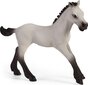 Schleich Horse Club Lõbus koos märaga hind ja info | Tüdrukute mänguasjad | kaup24.ee