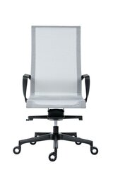 Офисное кресло Wood Garden Epic, серое/черное цена и информация | Офисные кресла | kaup24.ee