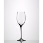 Veinipokaal Eisch Melissa 250 ml, 1 tk hind ja info | Klaasid, tassid ja kannud | kaup24.ee