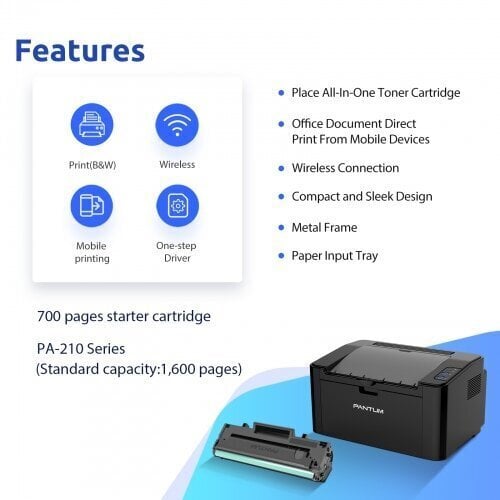 Pantum P2500W Wi-Fi printer laser monochrome цена и информация | Printerid | kaup24.ee